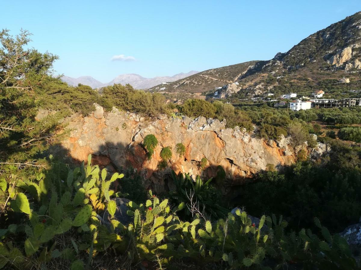 Erofili'S House Kalo Chorio (Lasithi) Exterior foto