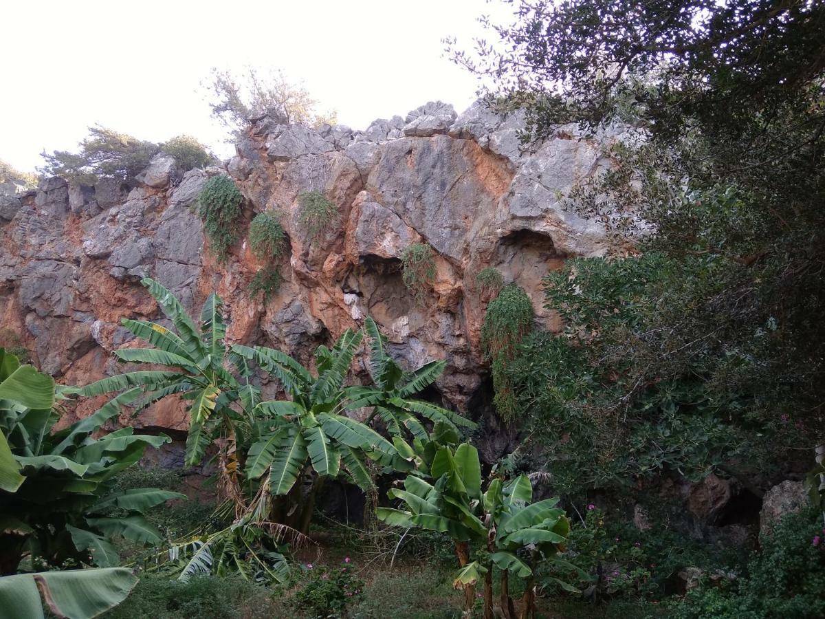 Erofili'S House Kalo Chorio (Lasithi) Exterior foto